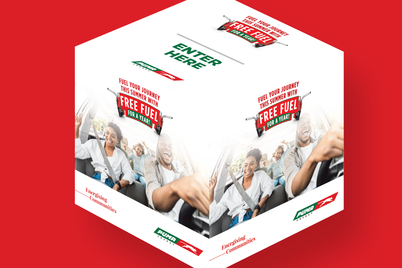 PUMA mock elements entry box 2